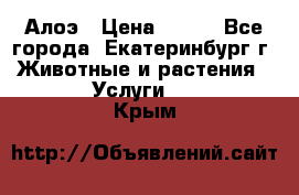 Алоэ › Цена ­ 150 - Все города, Екатеринбург г. Животные и растения » Услуги   . Крым